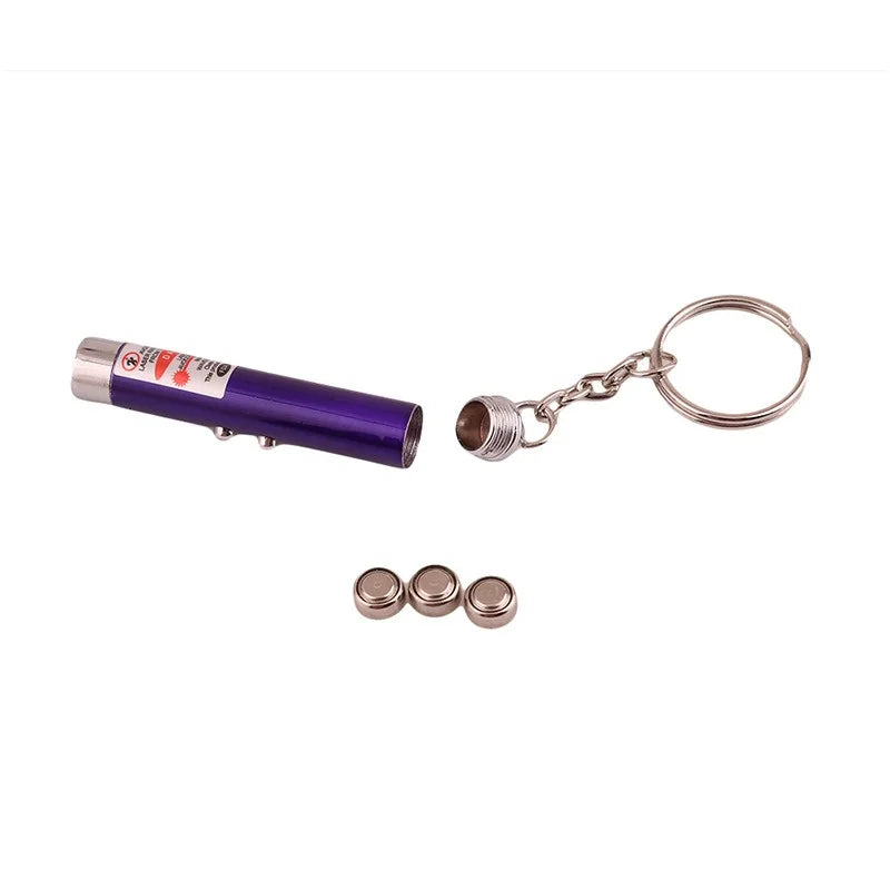 Mini Cat Dog Fun Laser Pointer 2-in-1