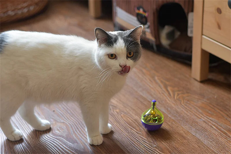 Interactive Cat Food Feeder Ball