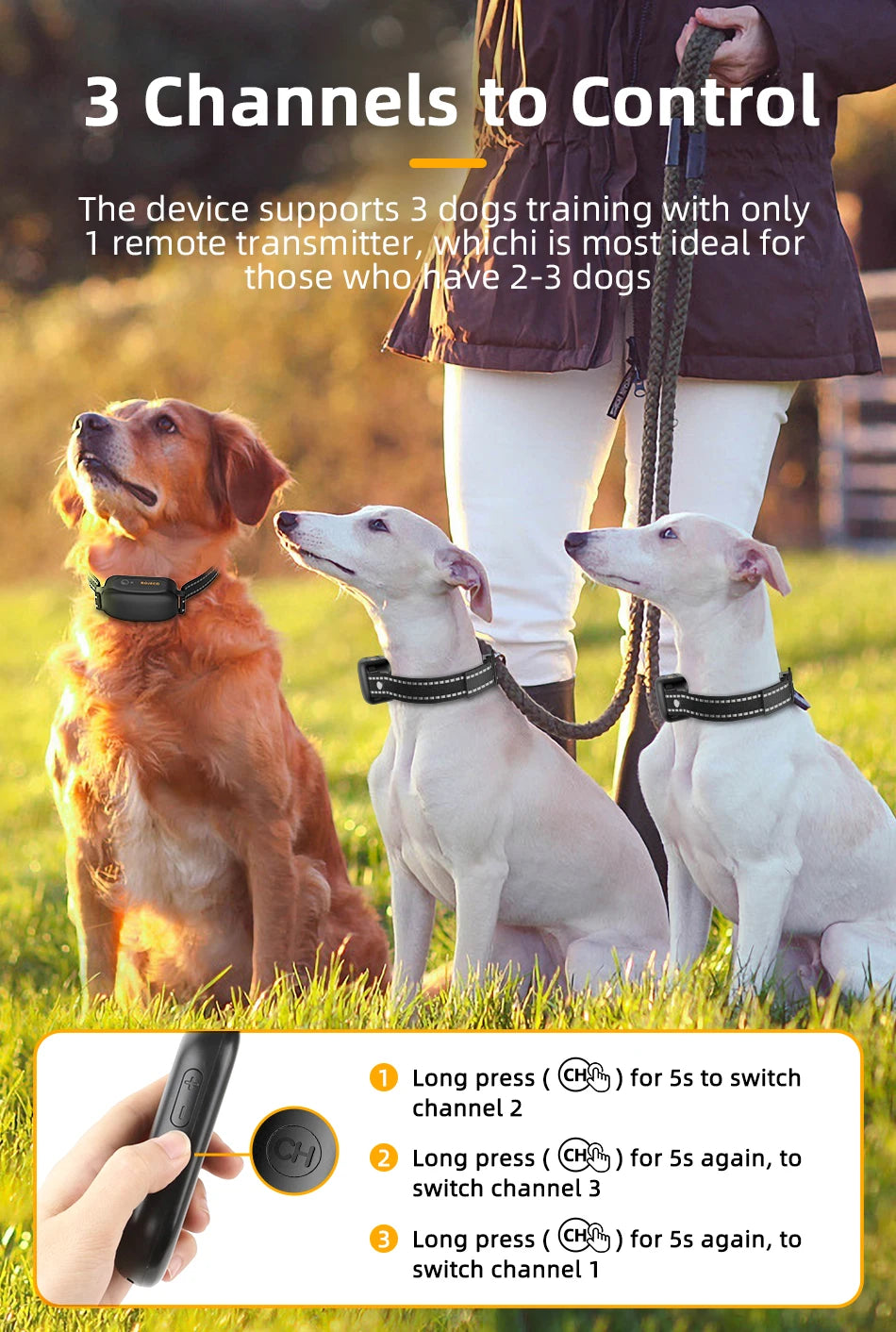 ROJECO Electric Dog Training Collar