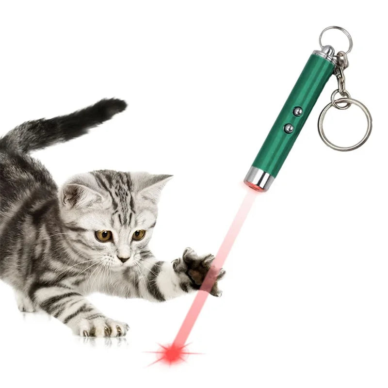 Mini Cat Dog Fun Laser Pointer 2-in-1