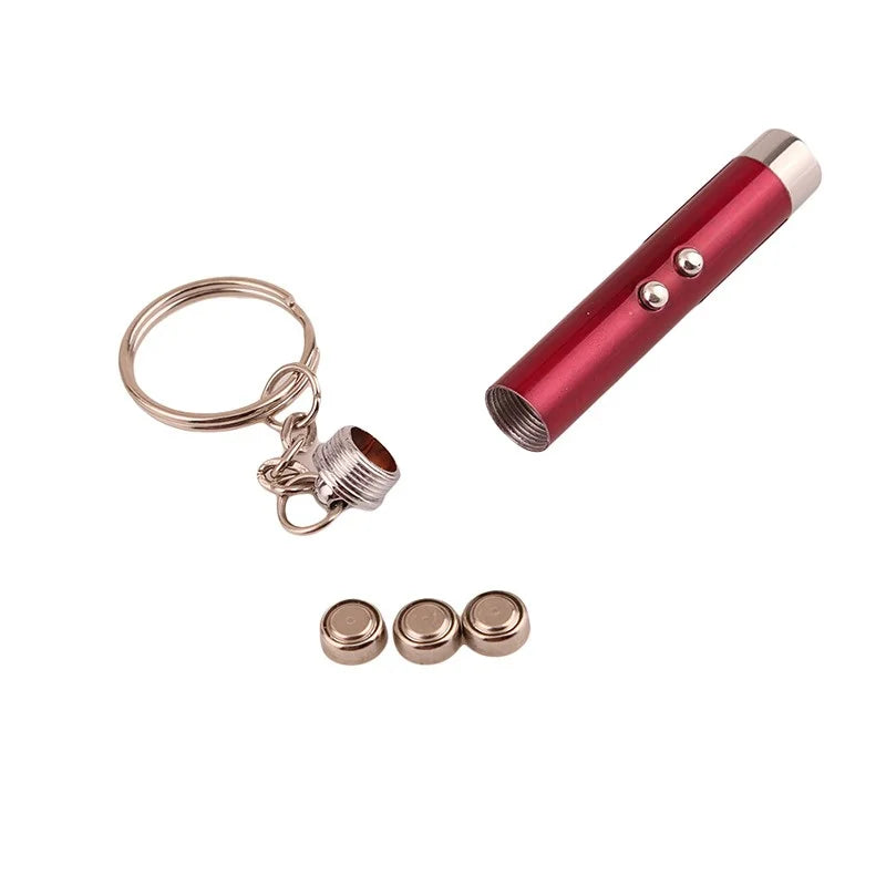 Mini Cat Dog Fun Laser Pointer 2-in-1