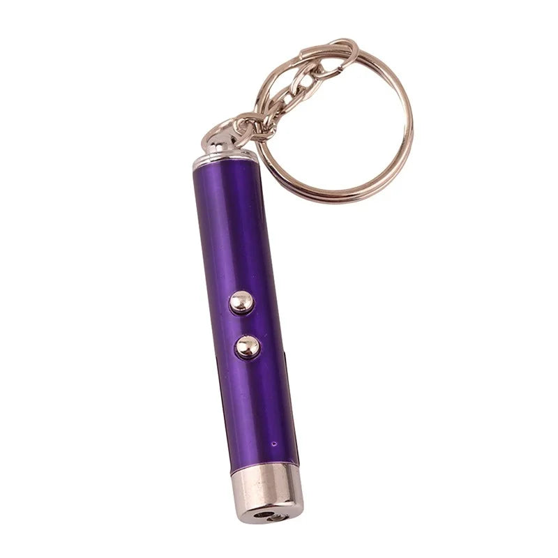 Mini Cat Dog Fun Laser Pointer 2-in-1