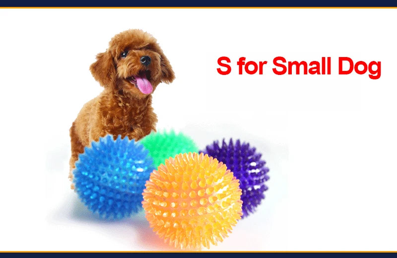 Pet Dog Toys Cat Puppy Sounding Toy