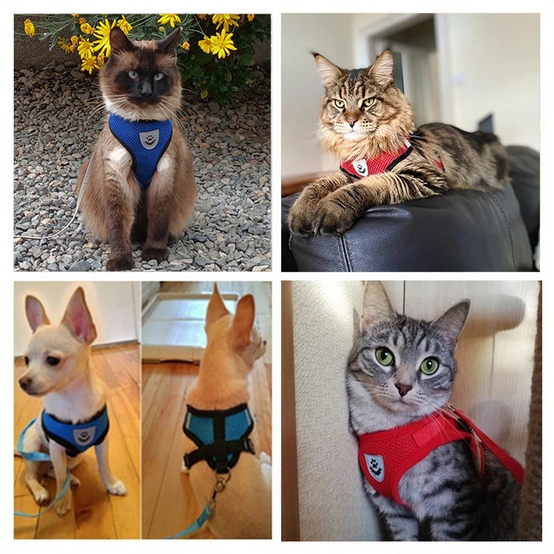 Adjustable Cat and Dog Harness Vest