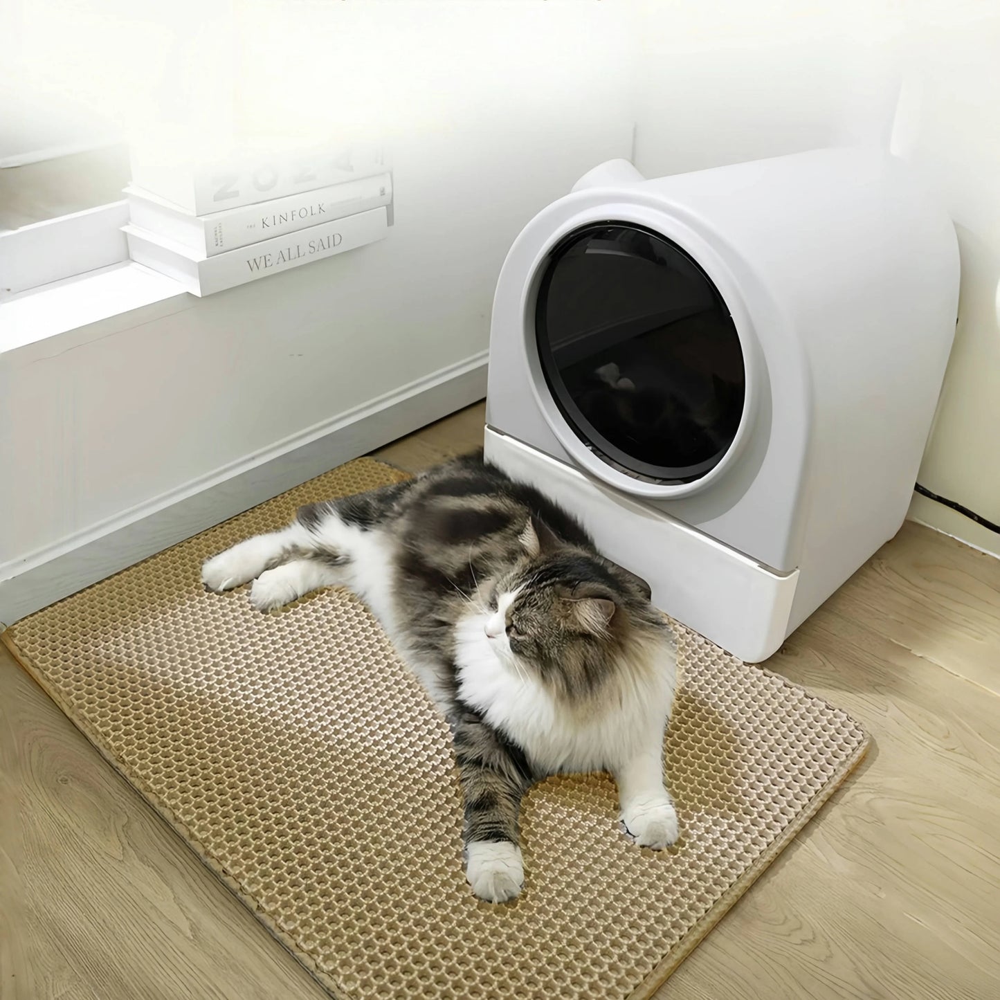 Waterproof Double Layer Cat Litter Mat