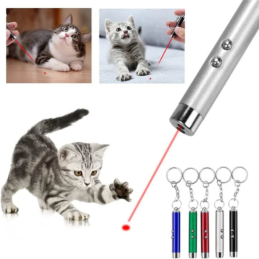 Mini Cat Dog Fun Laser Pointer 2-in-1