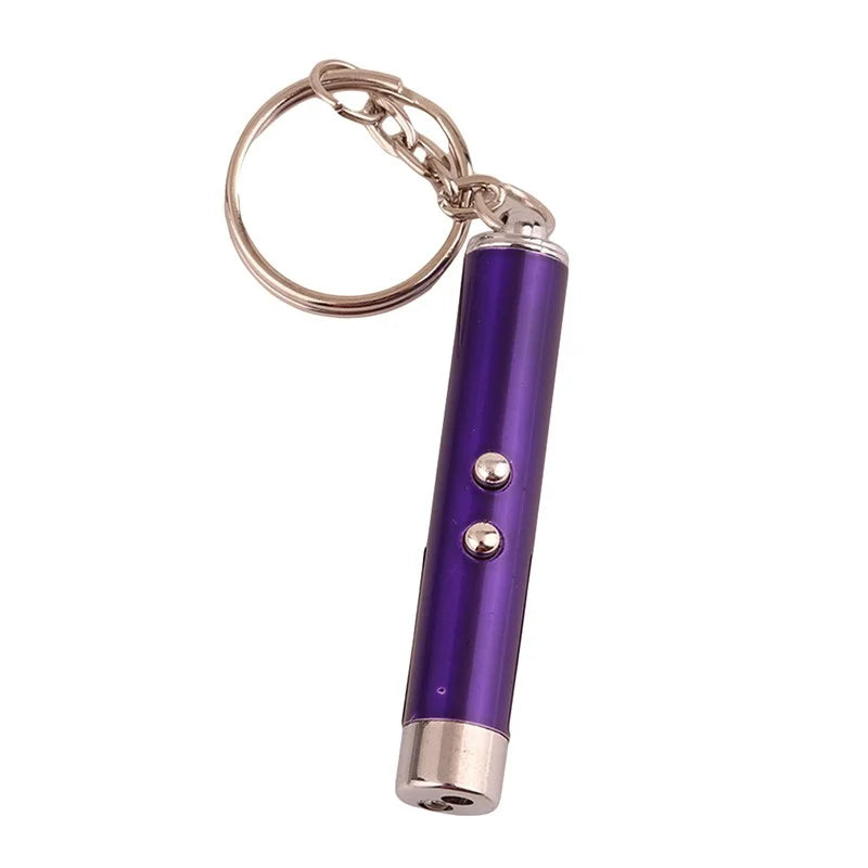 Mini Cat Dog Fun Laser Pointer 2-in-1