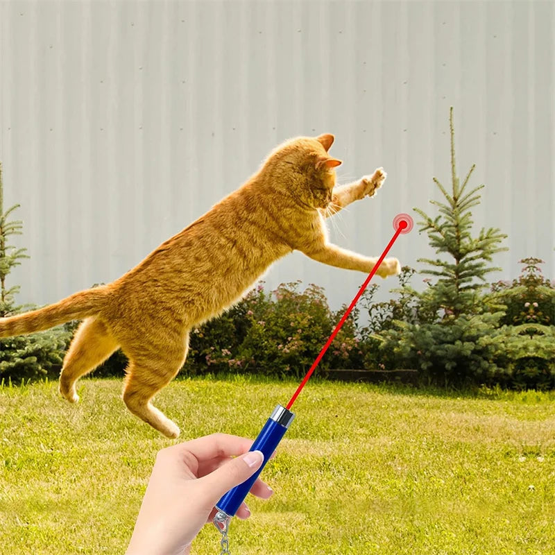 Mini Cat Dog Fun Laser Pointer 2-in-1