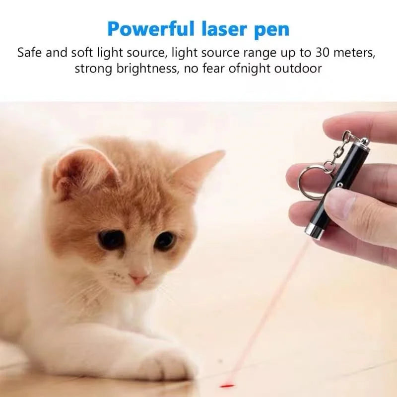 Mini Cat Dog Fun Laser Pointer 2-in-1